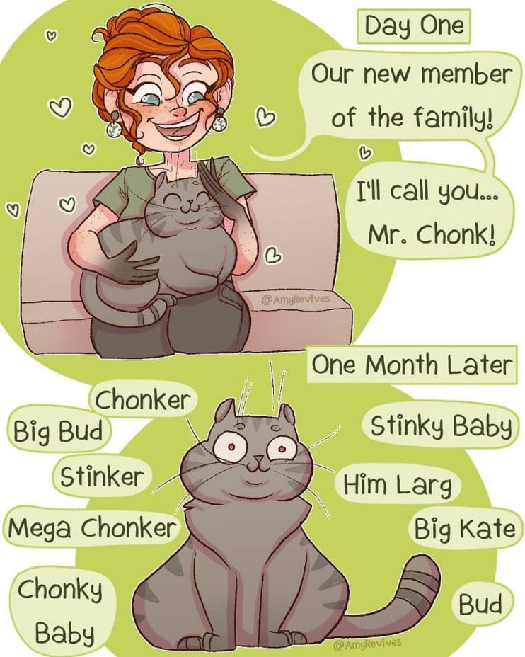 This image has an empty alt attribute; its file name is 1-27-819x1024.jpg