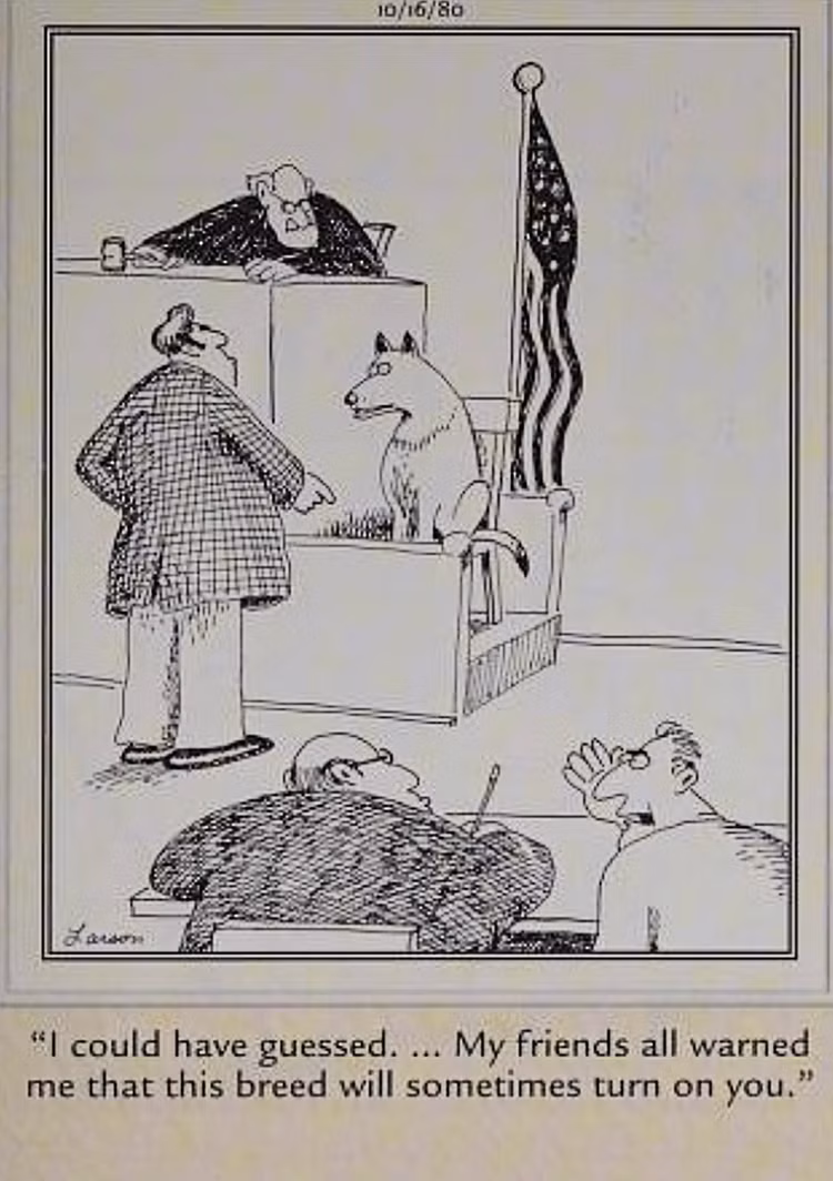 10 Hilarious Far Side Comics That Show Why Dogs Are Man's Best Friend