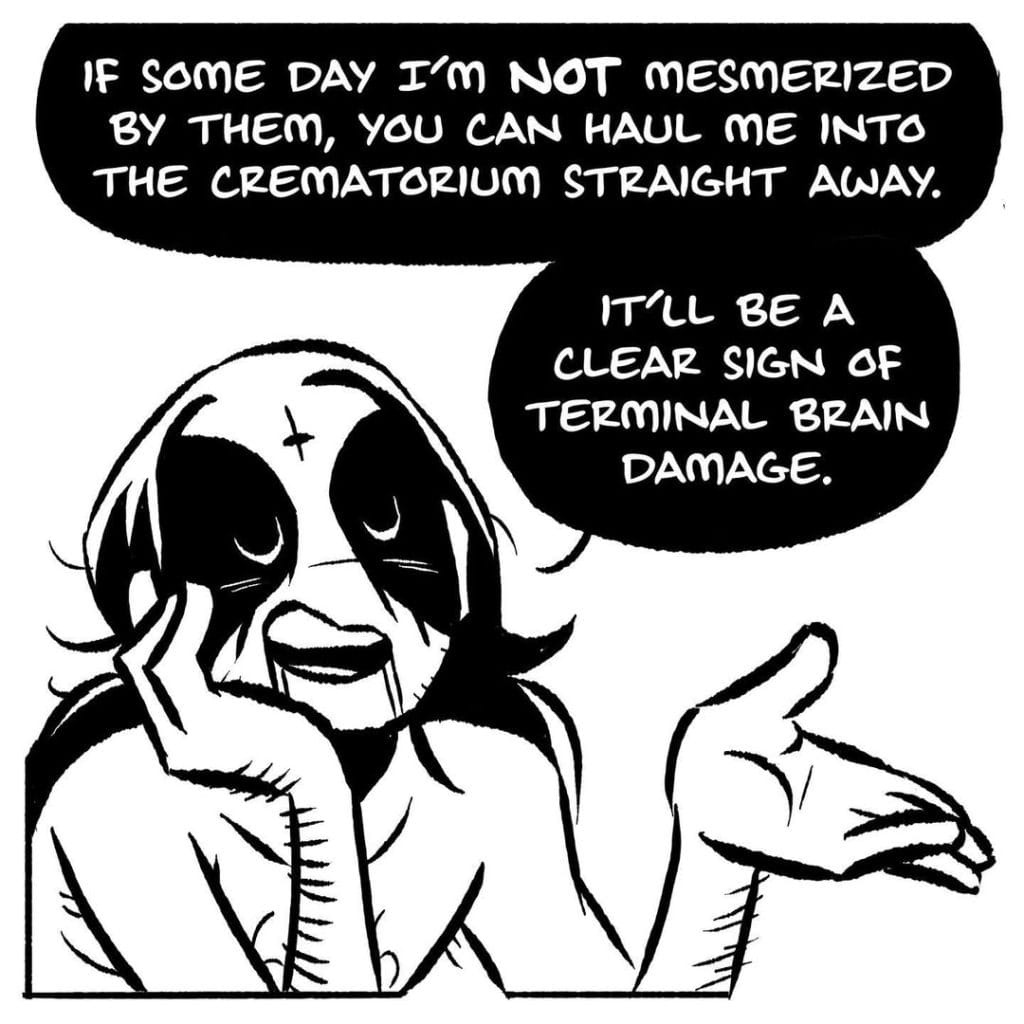 Adventures in Love and Lingerie