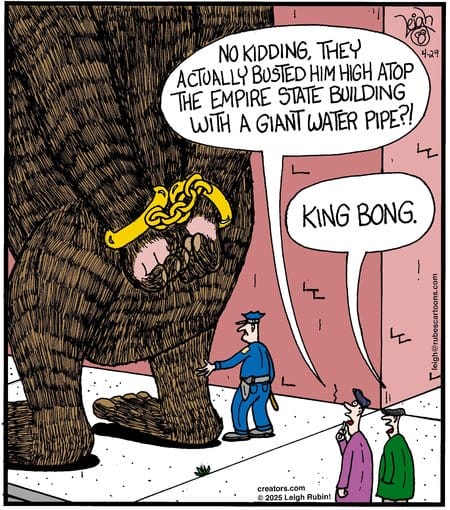 Rubes Cartoons by Leigh Rubin