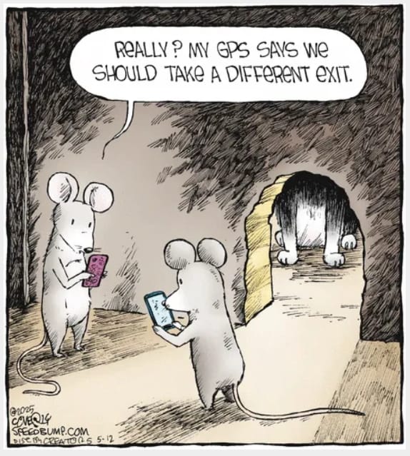 Relatable life cartoons