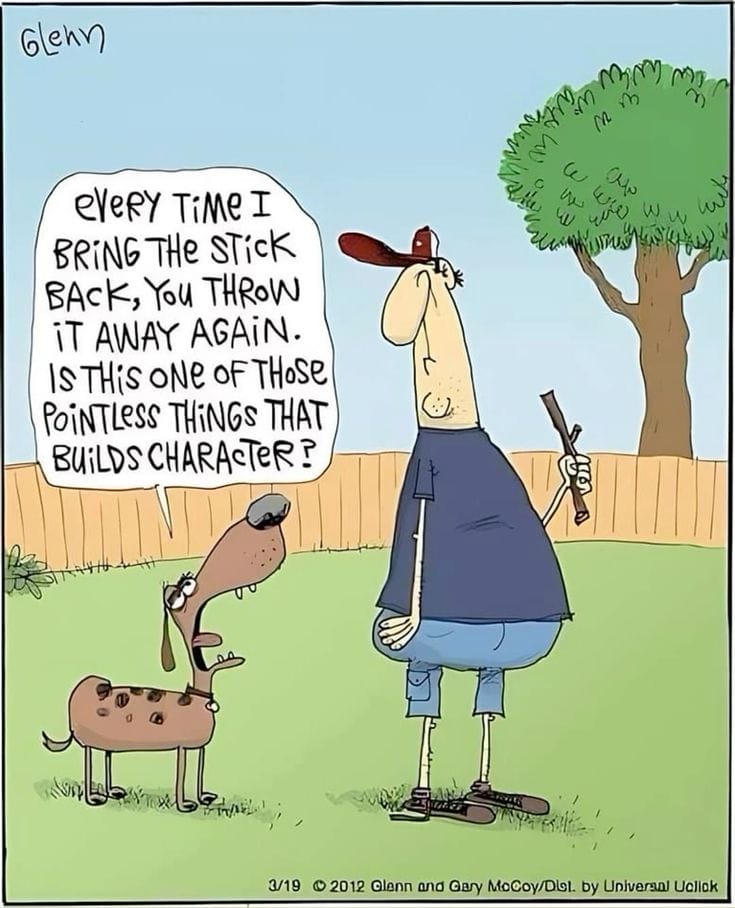 Absurd humor cartoons