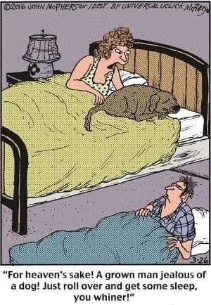 Close to Home Comics By John McPherson