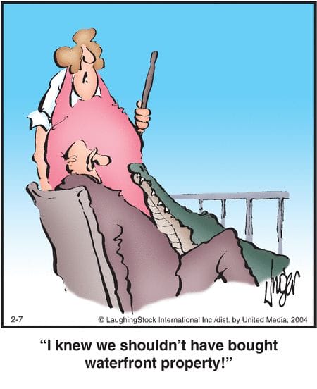 Old School Humor Cartoons