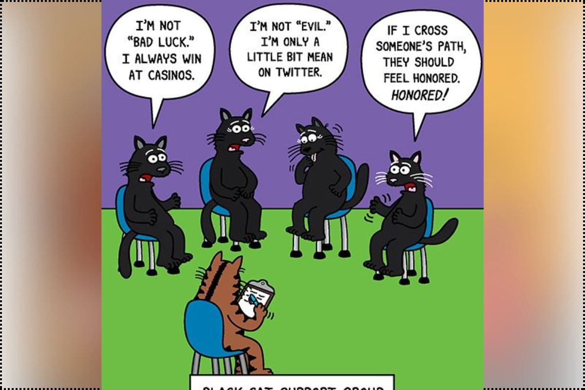 Funny Cat Cartoons