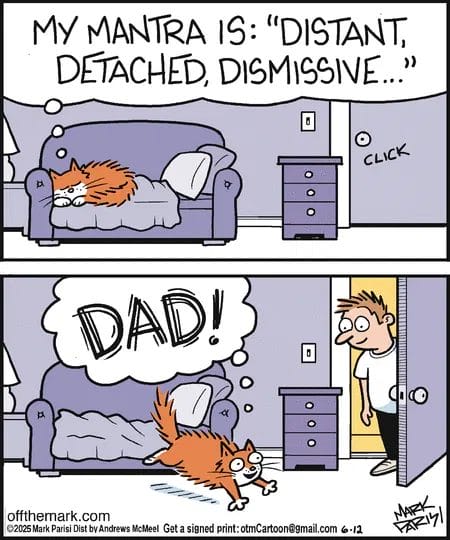 Funny Cartoons Today