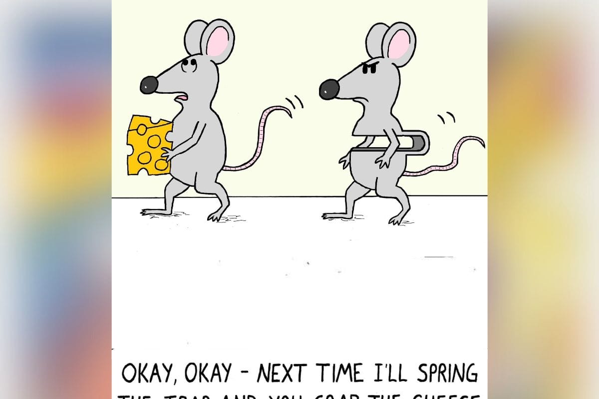 today Funniest cartoons