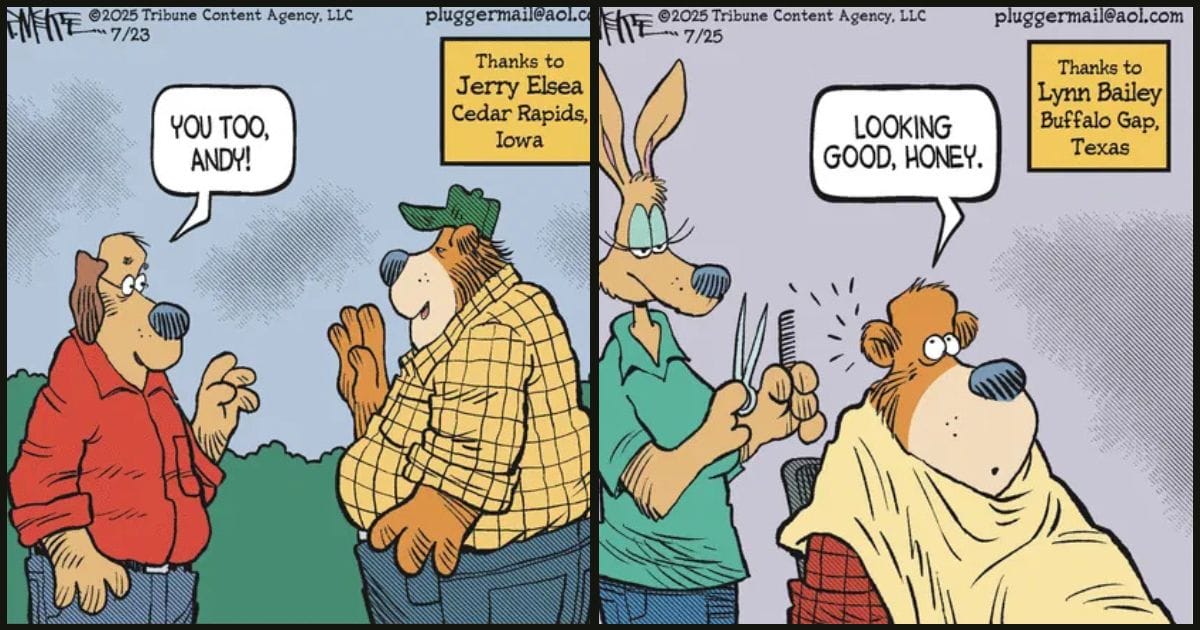 Everyday Humor Comics