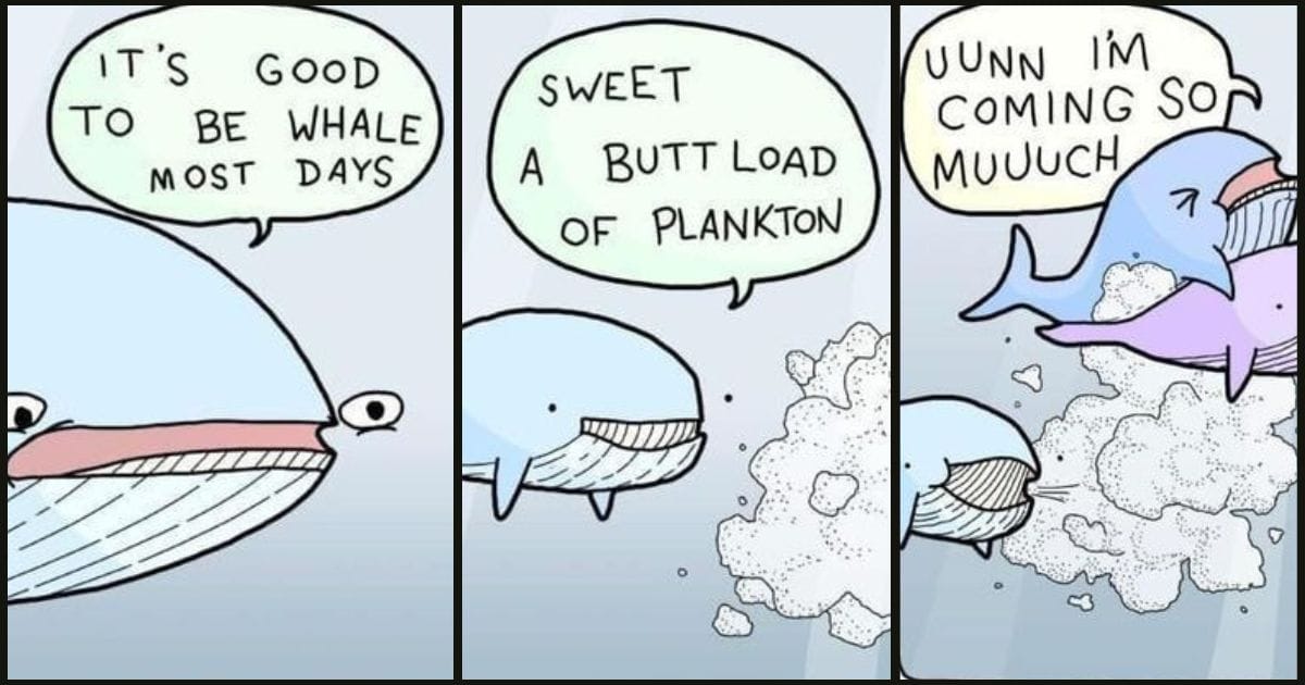 New Dark Humor Cartoons