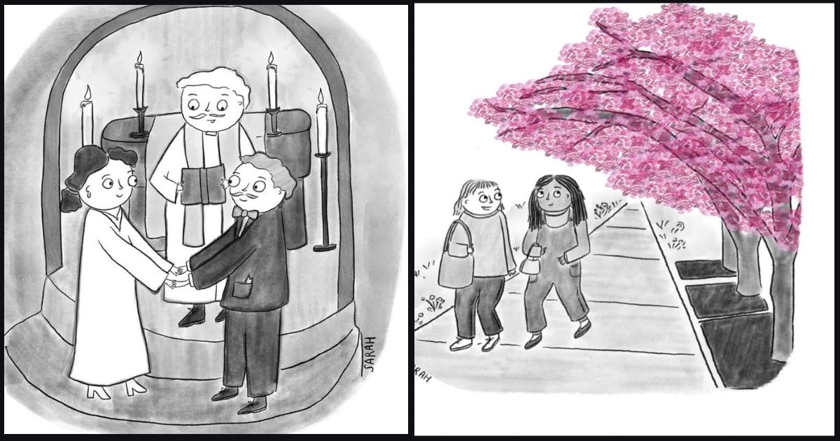 Witty Relatable Comics