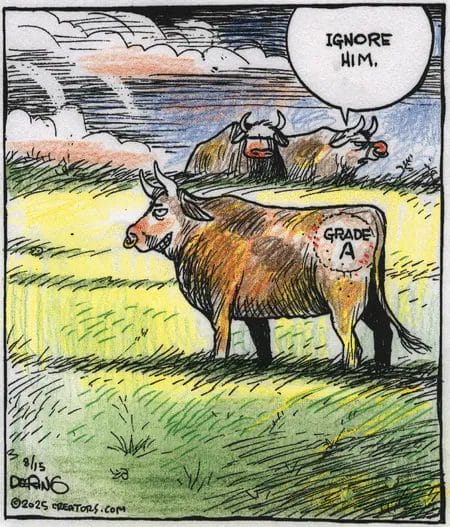 Dark and Witty Comics