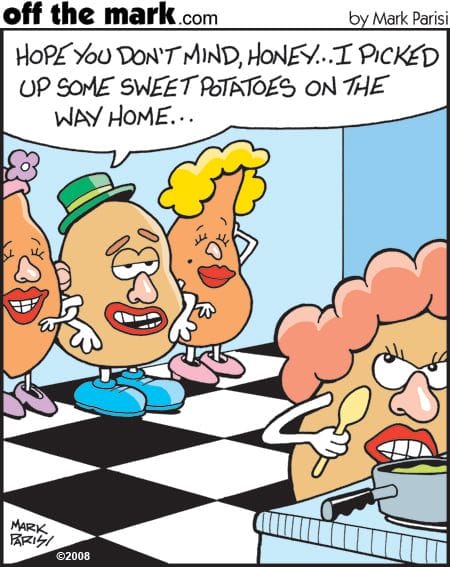 Witty Single Cartoons